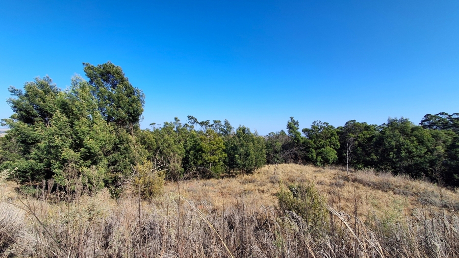 Commercial Property for Sale in Swartruggens North West